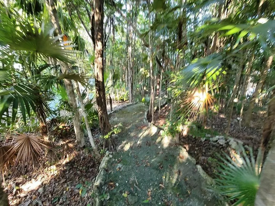 Casa Niyamaya Villa Puerto Morelos Mexico